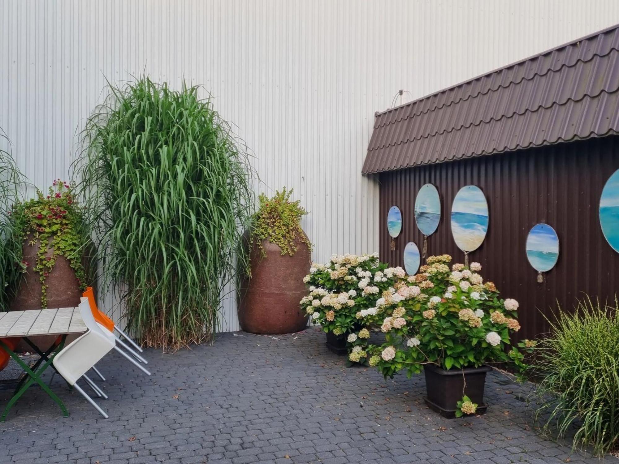 Comfortable Holiday Homes Close To Sea, Grzybowo Grzybowo  Eksteriør billede